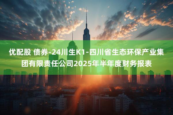 优配股 债券-24川生K1-四川省生态环保产业集团有限责任公司2025年半年度财务报表