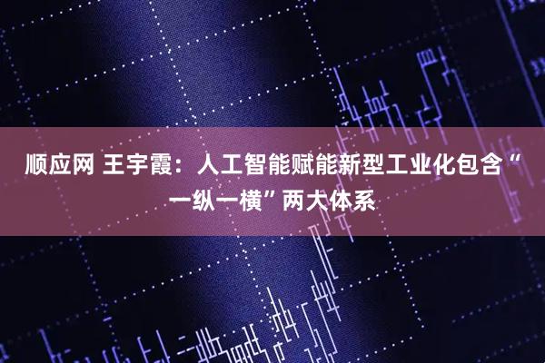 顺应网 王宇霞：人工智能赋能新型工业化包含“一纵一横”两大体系