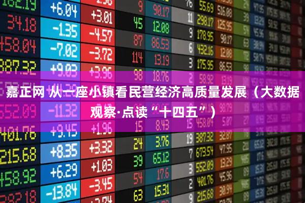 嘉正网 从一座小镇看民营经济高质量发展（大数据观察·点读“十四五”）